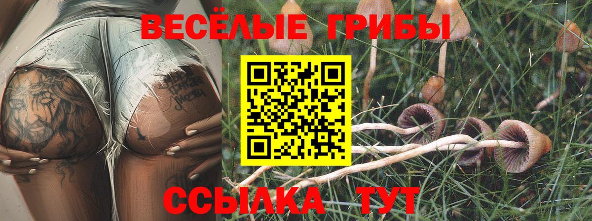 Галлюциногенные грибы прущие грибы Калач-на-Дону