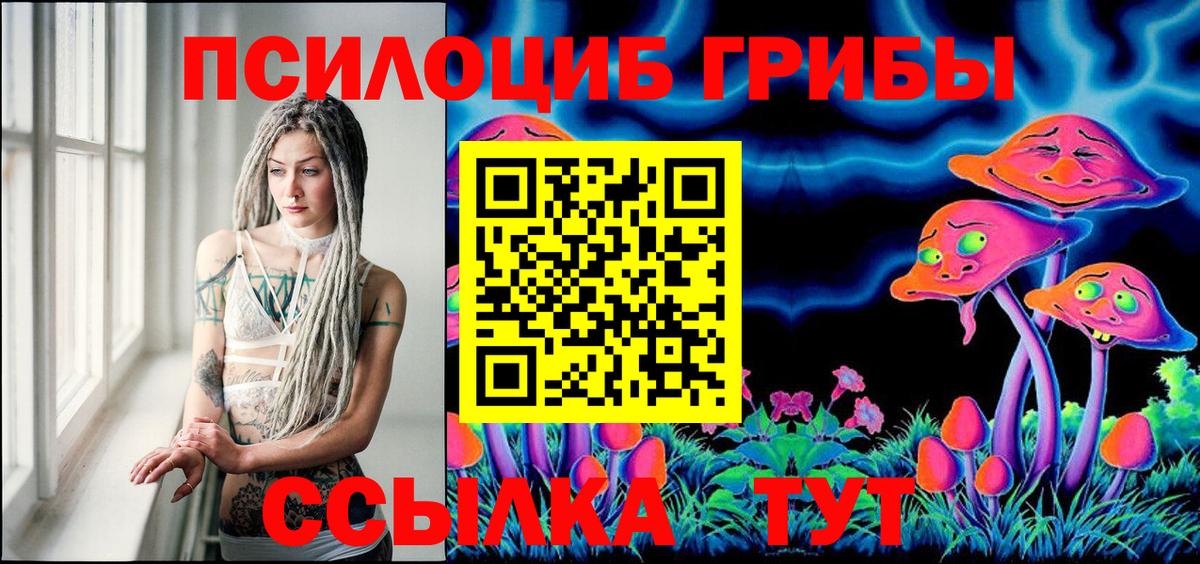 Галлюциногенные грибы Psilocybe  Вход с VPN  Калач-на-Дону 